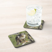 Red Tailed Hawk Onderzetters (Rechterzijde)