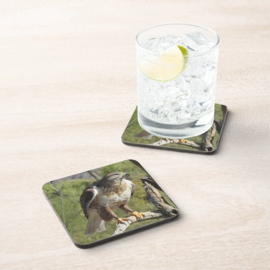 Red Tailed Hawk Onderzetters (Rechterzijde)