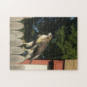 Red Tailed Hawk op Wooden Fence Legpuzzel (Horizontaal)