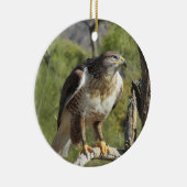 Red Tailed Hawk Ornament (Rechts)