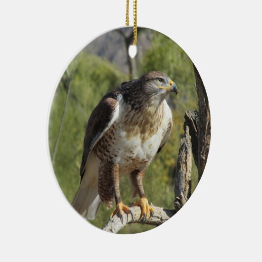 Red Tailed Hawk Ornament (Rechts)