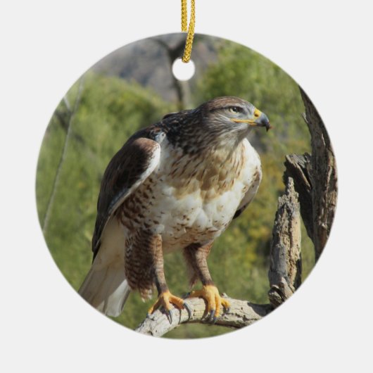 Red Tailed Hawk Ornament (Voorkant)