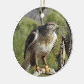 Red Tailed Hawk Ornament (Links)