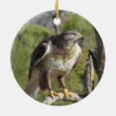 Red Tailed Hawk Ornament (Achterkant)