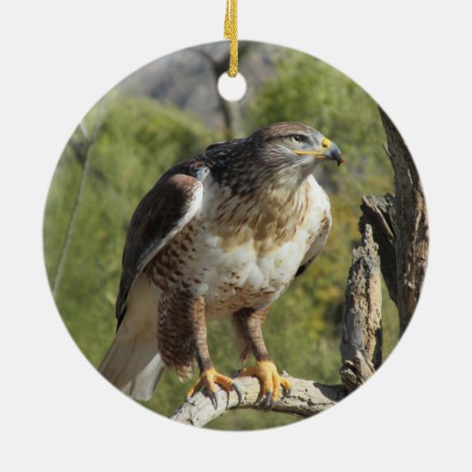 Red Tailed Hawk Ornament (Achterkant)