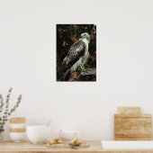 Red Tailed Hawk Photo Poster (Keuken)