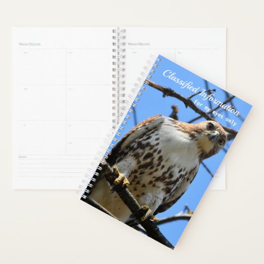 Red-Tailed Hawk Planner (Display)