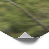 Red Tailed Hawk Poster (Hoek)