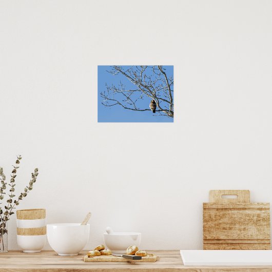 Red Tailed Hawk Poster (Keuken)