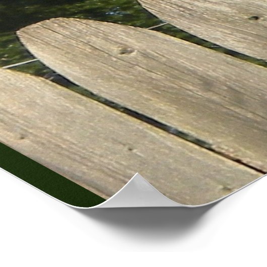 Red Tailed Hawk Poster (Hoek)