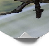 Red Tailed Hawk Poster (Hoek)