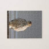 Red Tailed Hawk puzzel Legpuzzel (Horizontaal)
