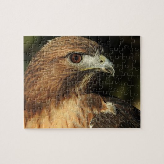 Red Tailed Hawk Puzzle Legpuzzel (Horizontaal)