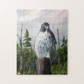Red Tailed Hawk Puzzle Legpuzzel (Verticaal)
