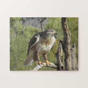 Red Tailed Hawk Puzzle Legpuzzel