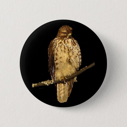 Red Tailed Hawk Ronde Button 5,7 Cm (Voorkant)