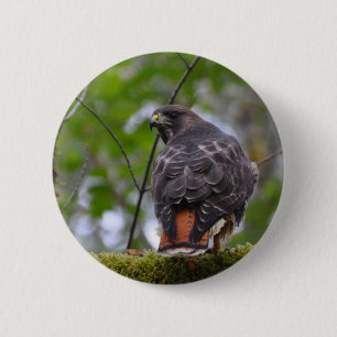 Red-Tailed Hawk Ronde Button 5,7 Cm