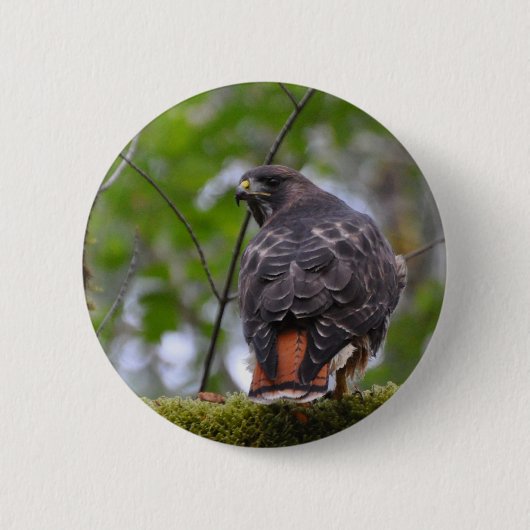 Red-Tailed Hawk Ronde Button 5,7 Cm (Voorkant)