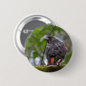 Red-Tailed Hawk Ronde Button 5,7 Cm (Voorkant /achterkant)