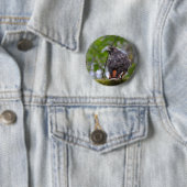 Red-Tailed Hawk Ronde Button 5,7 Cm (In situ)