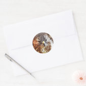 RED TAILED HAWK RONDE STICKER (Envelop)