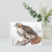Red-tailed hawk sketch briefkaart (Staand voorkant)