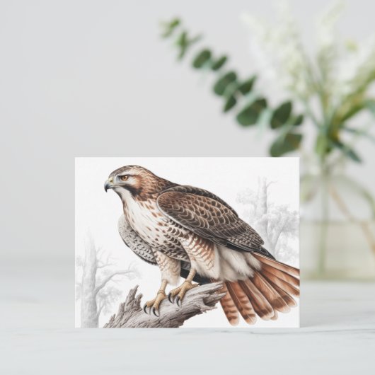 Red-tailed hawk sketch briefkaart (Staand voorkant)