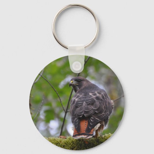 Red-Tailed Hawk Sleutelhanger (Voorkant)