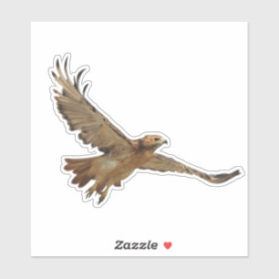 Red Tailed Hawk Sticker
