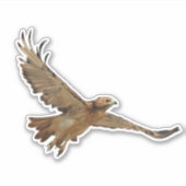 Red Tailed Hawk Sticker (Voorkant)