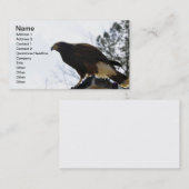 Red Tailed Hawk tegen een Blue Sky Business Sky Visitekaartje (Voorkant / Achterkant)