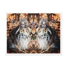 Red Tailed Hawk verdubbelde