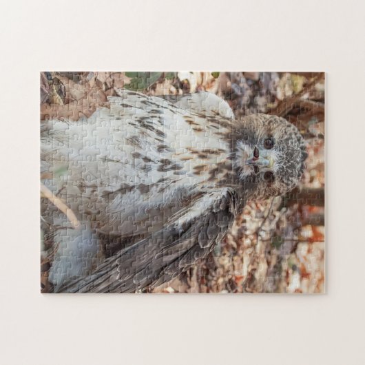Red Tailed Hawk verdubbelde Legpuzzel (Horizontaal)