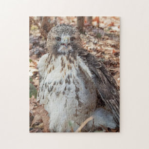 Red Tailed Hawk verdubbelde Legpuzzel
