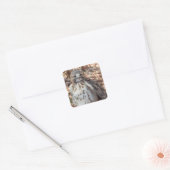 Red Tailed Hawk Vierkante Sticker (Envelop)