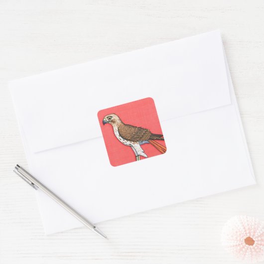 Red-Tailed Hawk Vierkante Sticker (Envelop)
