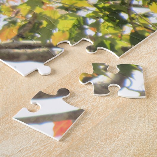 Red-Tailed Hawk - vogels van Prey Jigzaag Puzzle Legpuzzel (Zijkant)