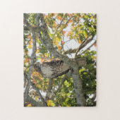 Red-Tailed Hawk - vogels van Prey Jigzaag Puzzle Legpuzzel (Verticaal)