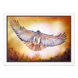 Red Tailed Hawk Waterverf schilderij Foto Afdruk