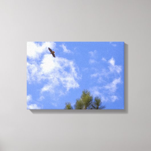 Red Tailed Hawk Wrapped Canvas Afdruk (Voorkant)