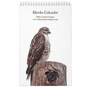 Red Tailed Hawks 2025 Kalender