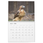 Red-tailed Hawks 2026 Kalender (Mar 2026)