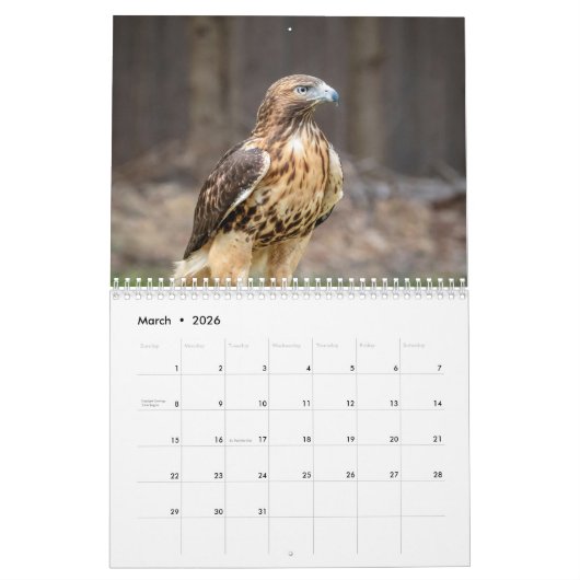 Red-tailed Hawks 2026 Kalender (Mar 2026)
