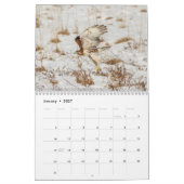 Red-tailed Hawks 2026 Kalender (Jan 2027)