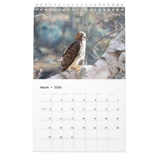 Red Tailed Hawks 2026 Kalender (Mar 2026)