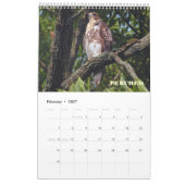 RED TAILED HAWKS OF OHIO KALENDER (Feb 2027)