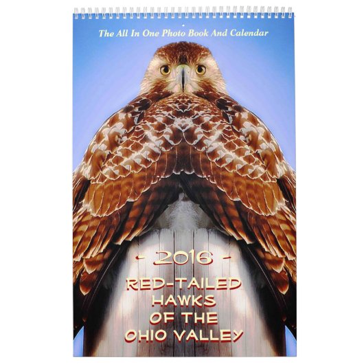 RED TAILED HAWKS OF OHIO KALENDER (Hoes)