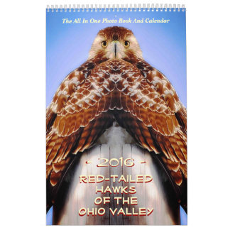 RED TAILED HAWKS OF OHIO KALENDER