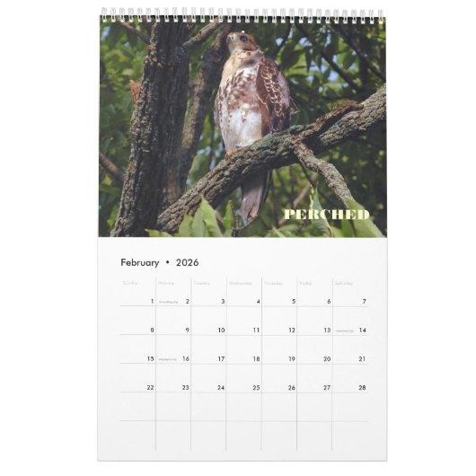 RED TAILED HAWKS OF OHIO KALENDER (Feb 2026)