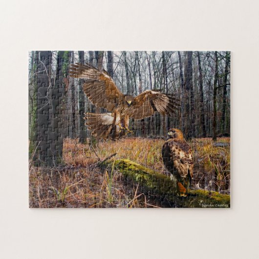 "Red-Tailed Hawks" Puzzle Legpuzzel (Horizontaal)